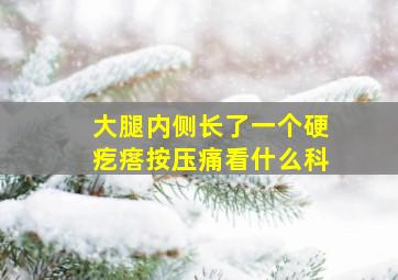 大腿内侧长了一个硬疙瘩按压痛看什么科