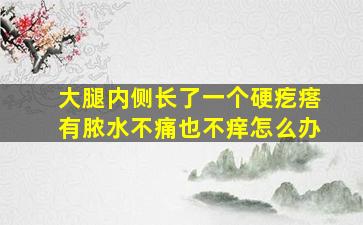 大腿内侧长了一个硬疙瘩有脓水不痛也不痒怎么办