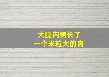 大腿内侧长了一个米粒大的肉