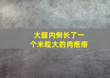 大腿内侧长了一个米粒大的肉疙瘩