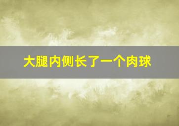 大腿内侧长了一个肉球