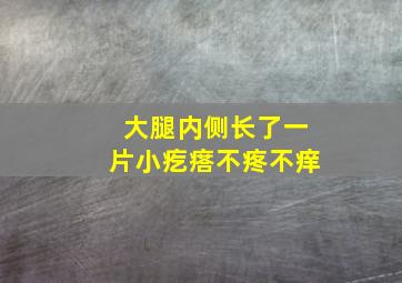 大腿内侧长了一片小疙瘩不疼不痒