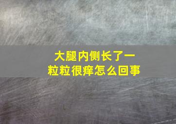 大腿内侧长了一粒粒很痒怎么回事