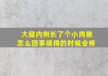 大腿内侧长了个小肉揪怎么回事摸得的时候会疼