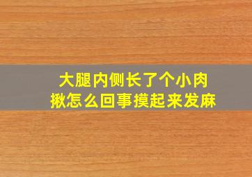 大腿内侧长了个小肉揪怎么回事摸起来发麻