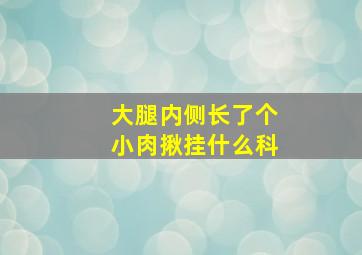 大腿内侧长了个小肉揪挂什么科