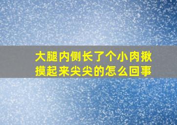 大腿内侧长了个小肉揪摸起来尖尖的怎么回事