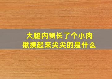 大腿内侧长了个小肉揪摸起来尖尖的是什么