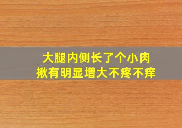 大腿内侧长了个小肉揪有明显增大不疼不痒