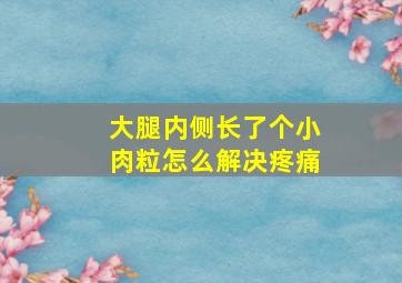 大腿内侧长了个小肉粒怎么解决疼痛