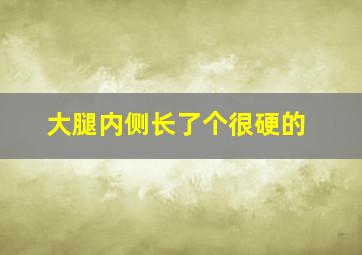 大腿内侧长了个很硬的