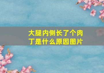 大腿内侧长了个肉丁是什么原因图片