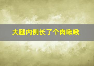 大腿内侧长了个肉啾啾