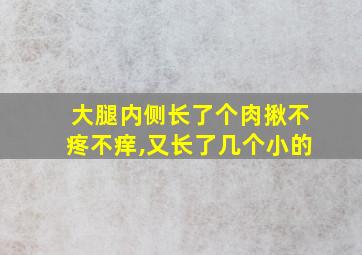 大腿内侧长了个肉揪不疼不痒,又长了几个小的