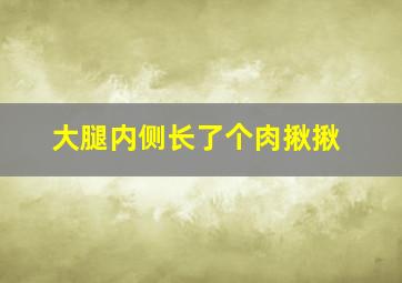 大腿内侧长了个肉揪揪