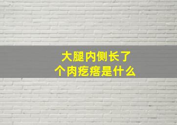 大腿内侧长了个肉疙瘩是什么