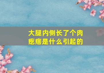 大腿内侧长了个肉疙瘩是什么引起的