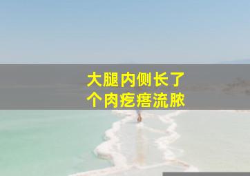 大腿内侧长了个肉疙瘩流脓