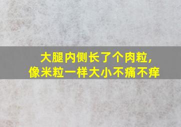 大腿内侧长了个肉粒,像米粒一样大小不痛不痒