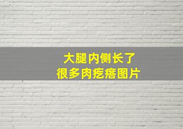 大腿内侧长了很多肉疙瘩图片