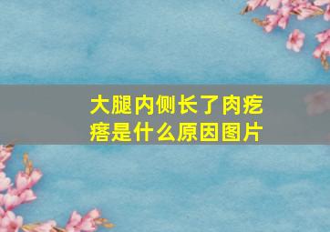 大腿内侧长了肉疙瘩是什么原因图片