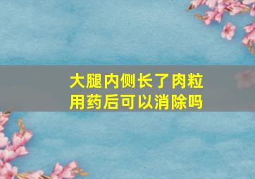 大腿内侧长了肉粒用药后可以消除吗