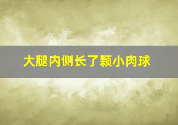 大腿内侧长了颗小肉球