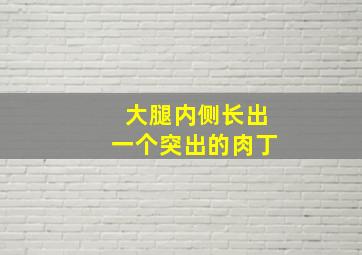 大腿内侧长出一个突出的肉丁