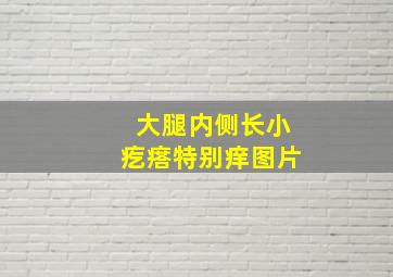 大腿内侧长小疙瘩特别痒图片