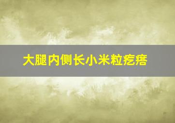 大腿内侧长小米粒疙瘩