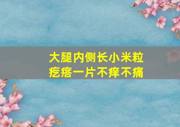 大腿内侧长小米粒疙瘩一片不痒不痛