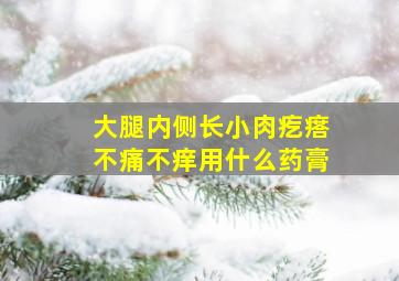 大腿内侧长小肉疙瘩不痛不痒用什么药膏