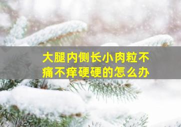 大腿内侧长小肉粒不痛不痒硬硬的怎么办