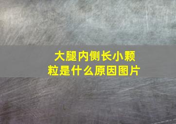 大腿内侧长小颗粒是什么原因图片