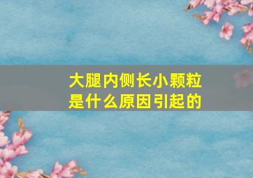 大腿内侧长小颗粒是什么原因引起的