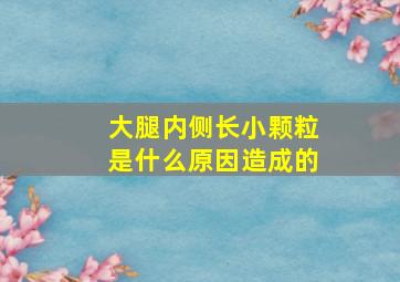 大腿内侧长小颗粒是什么原因造成的