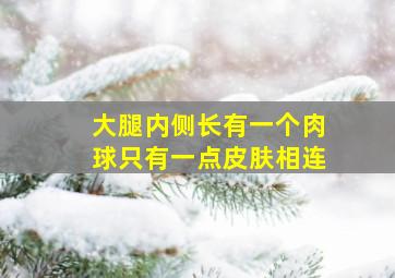 大腿内侧长有一个肉球只有一点皮肤相连