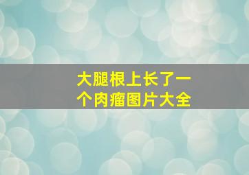 大腿根上长了一个肉瘤图片大全