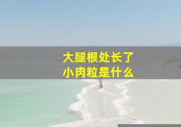 大腿根处长了小肉粒是什么