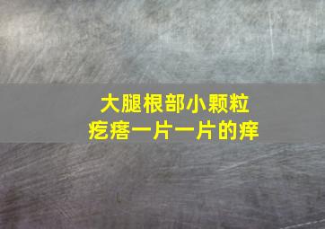 大腿根部小颗粒疙瘩一片一片的痒