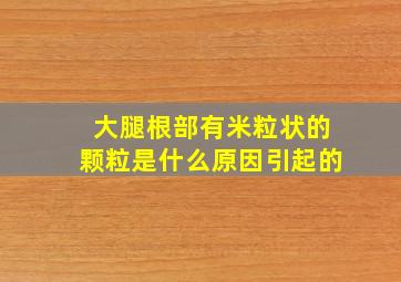 大腿根部有米粒状的颗粒是什么原因引起的