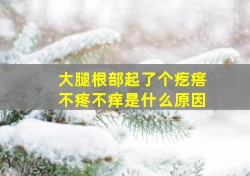 大腿根部起了个疙瘩不疼不痒是什么原因