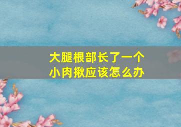 大腿根部长了一个小肉揪应该怎么办