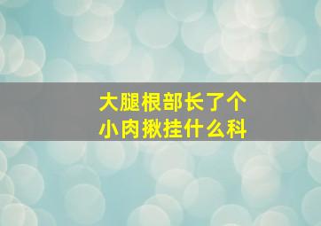 大腿根部长了个小肉揪挂什么科