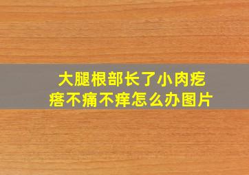 大腿根部长了小肉疙瘩不痛不痒怎么办图片