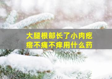 大腿根部长了小肉疙瘩不痛不痒用什么药