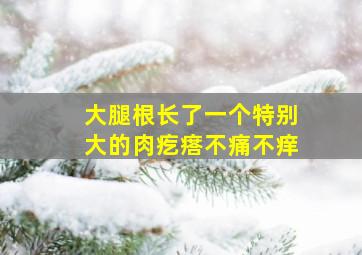 大腿根长了一个特别大的肉疙瘩不痛不痒