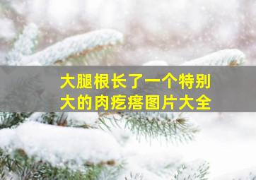 大腿根长了一个特别大的肉疙瘩图片大全