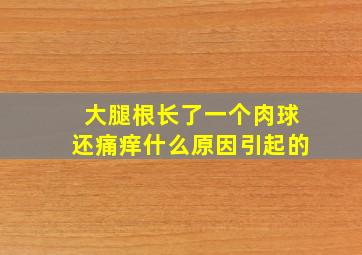 大腿根长了一个肉球还痛痒什么原因引起的