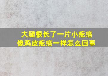 大腿根长了一片小疙瘩像鸡皮疙瘩一样怎么回事